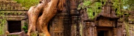Arbre et temple à Angkor Vat, Cambodge