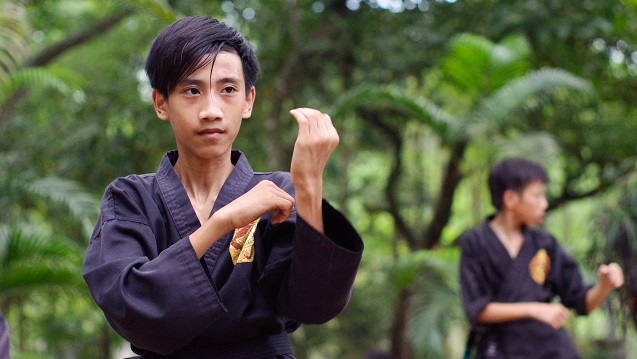 arts vietnam art martial