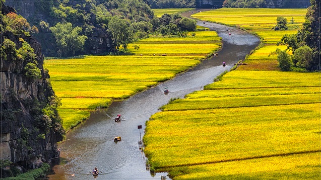 top 10 vietnam tam coc