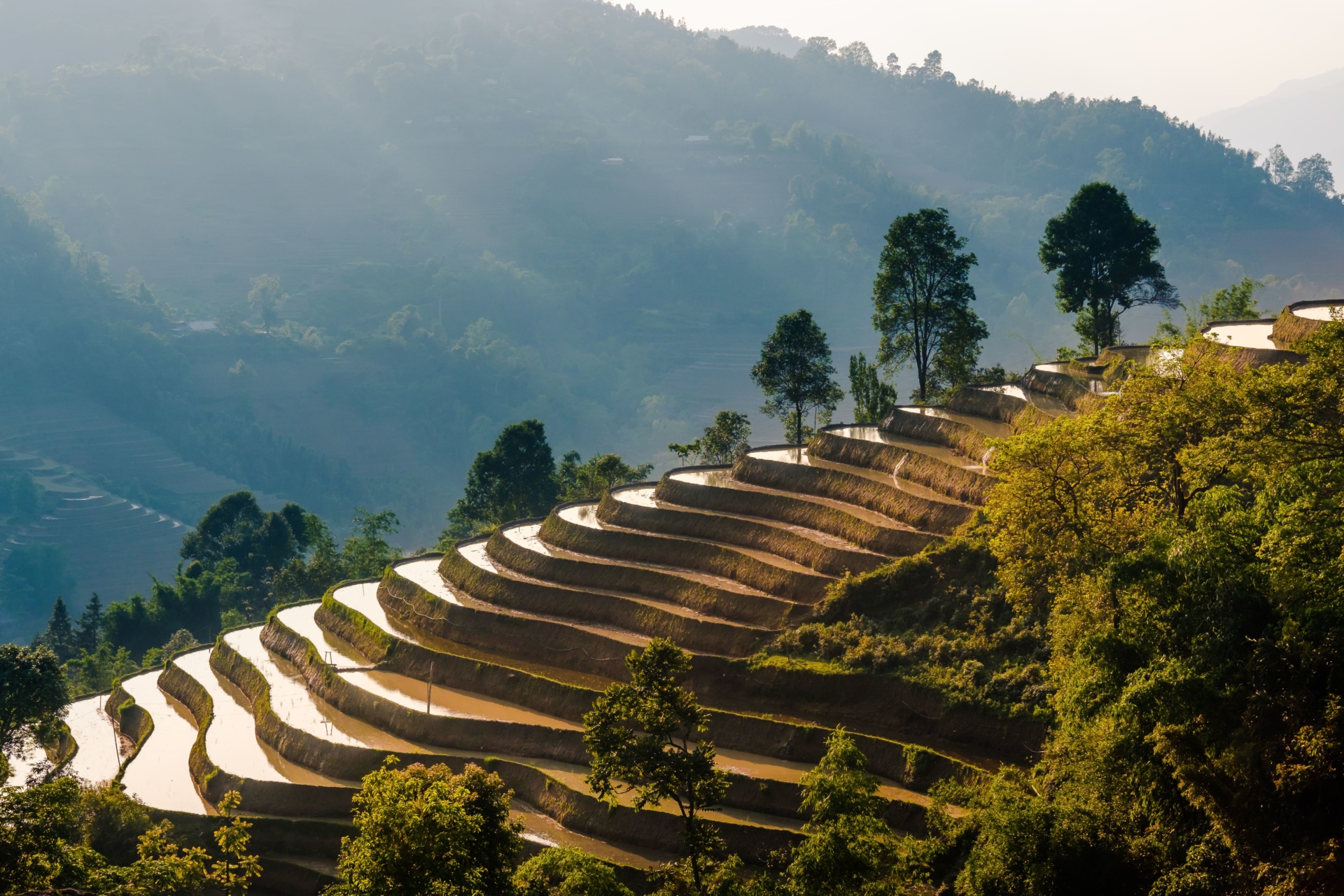 Soleil couchant sur les rizières à Ha Giang