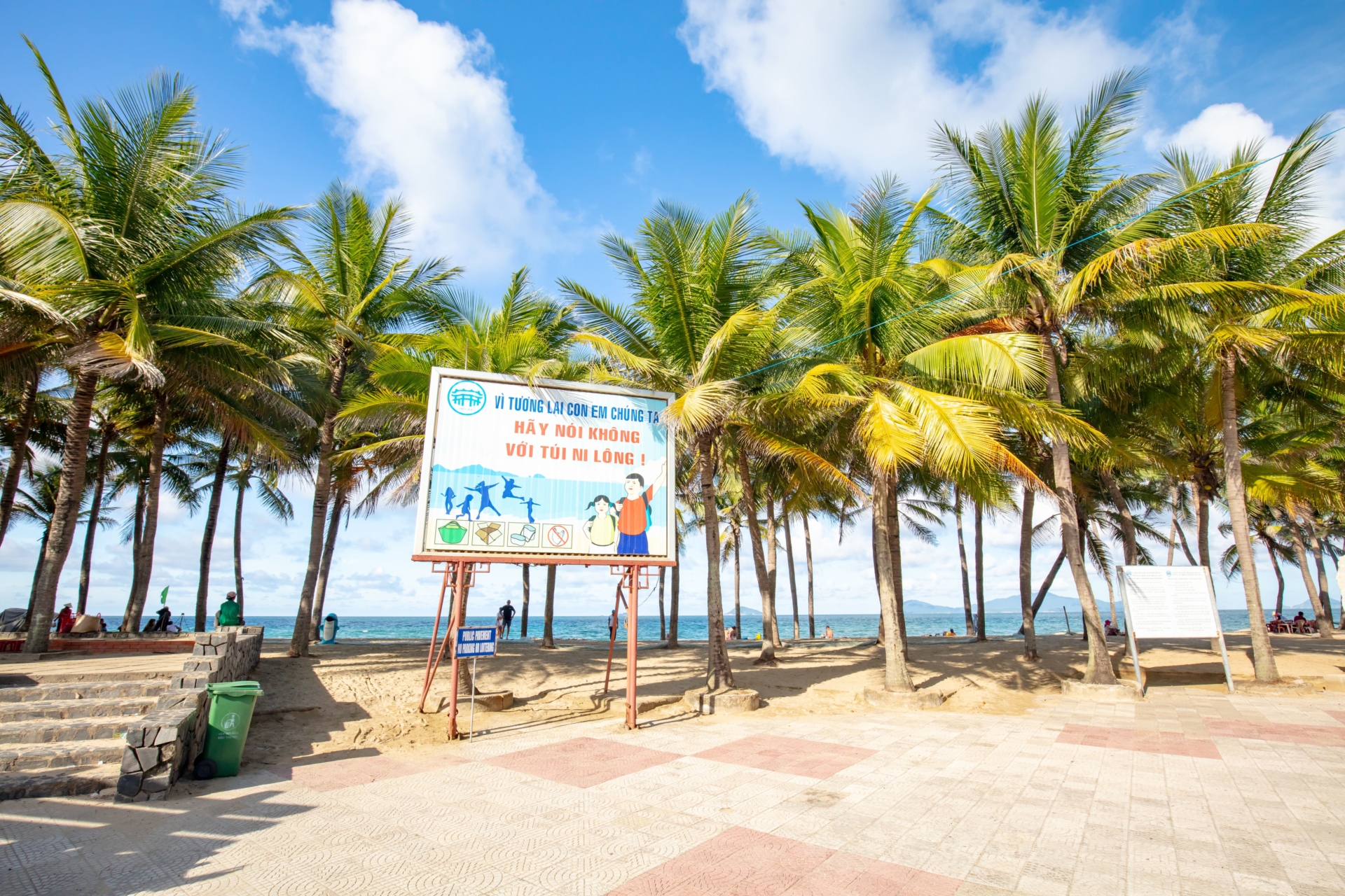 Cocotiers à An Bang