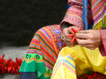 communaute-de-hmong-fleurs