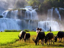 aventure-nord-vietnam-cascade-ban-gioc.jpg