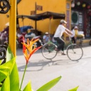 Rue de Hoi An, Vietnam