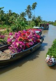 Pépinières fleurs sur le Mékong, Ben Tre