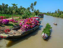 Pépinières fleurs sur le Mékong, Ben Tre