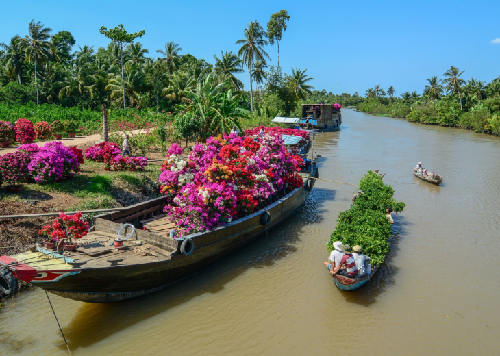 Pépinières fleurs sur le Mékong, Ben Tre