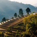 Soleil couchant sur les rizières à Ha Giang