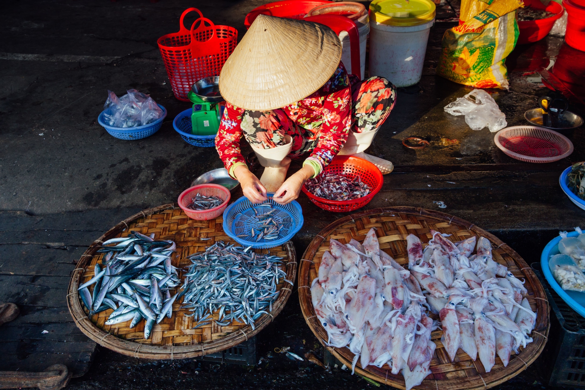 Marchés de poissons, Vietnam