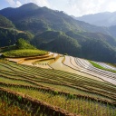 Rizieres en terraces, montagnes du nord Vietnam