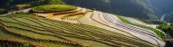 Rizieres en terraces, montagnes du nord Vietnam