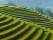 Lever de soleil sur les rizières, Vietnam