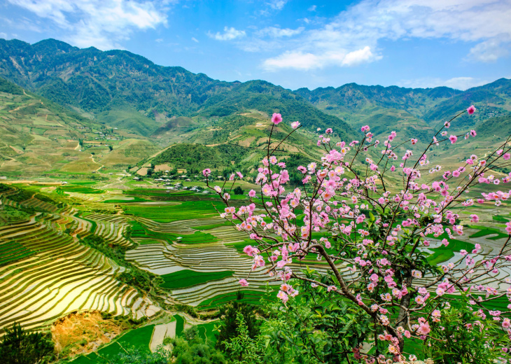 Rizières à Tu Le, Yen Bai, Vietnam