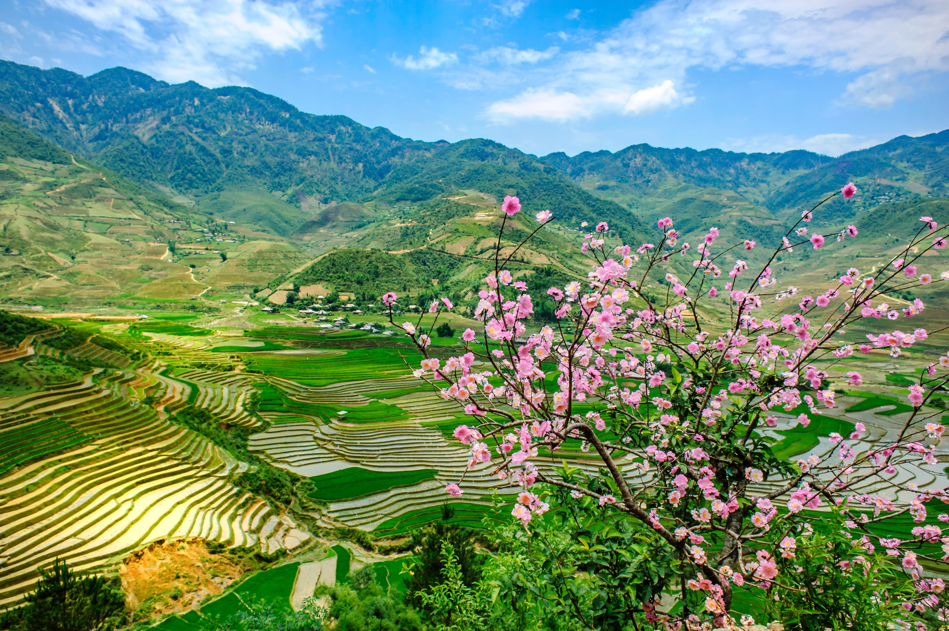 Rizières à Tu Le, Yen Bai, Vietnam