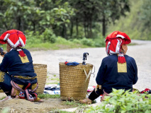 Dao rouges, Vietnam