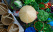 gastronomie vietnam
