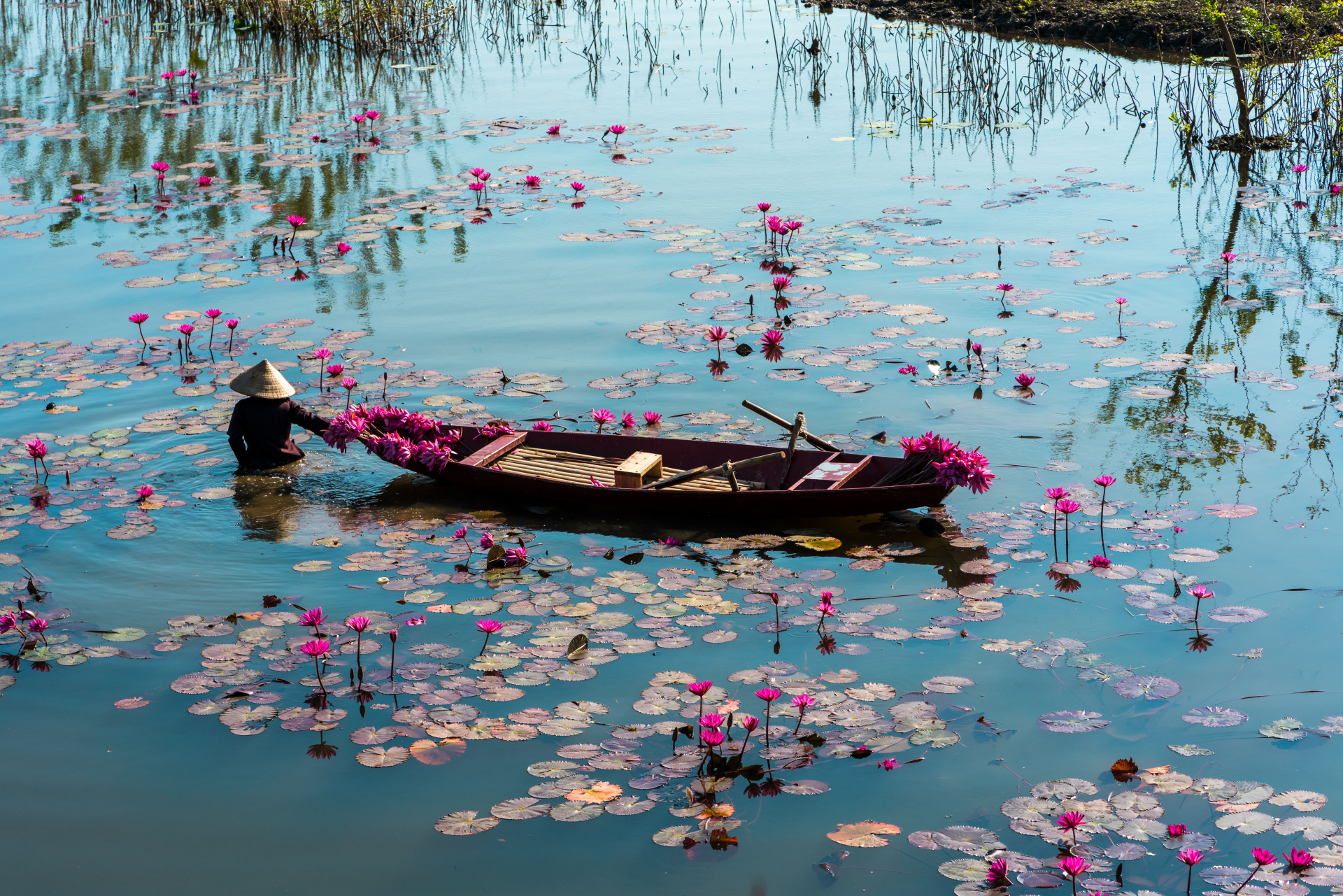 vietnam-barque
