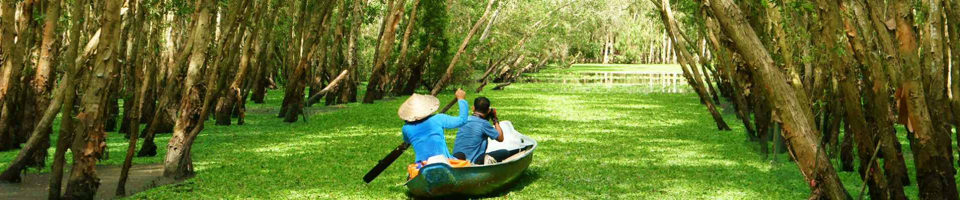 Tra Su Indigo Forest - Vietnam