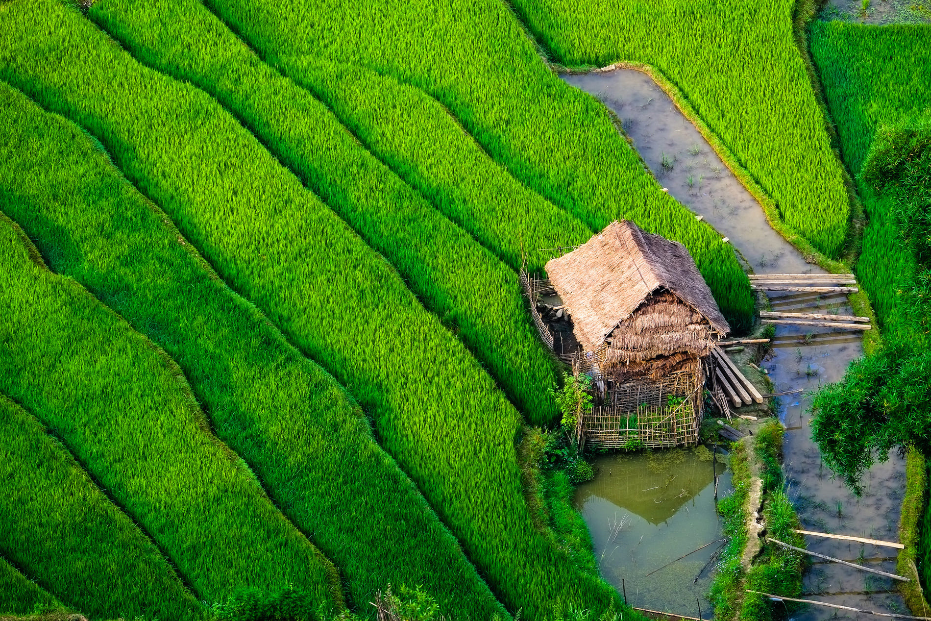 abecedaire-vietnam
