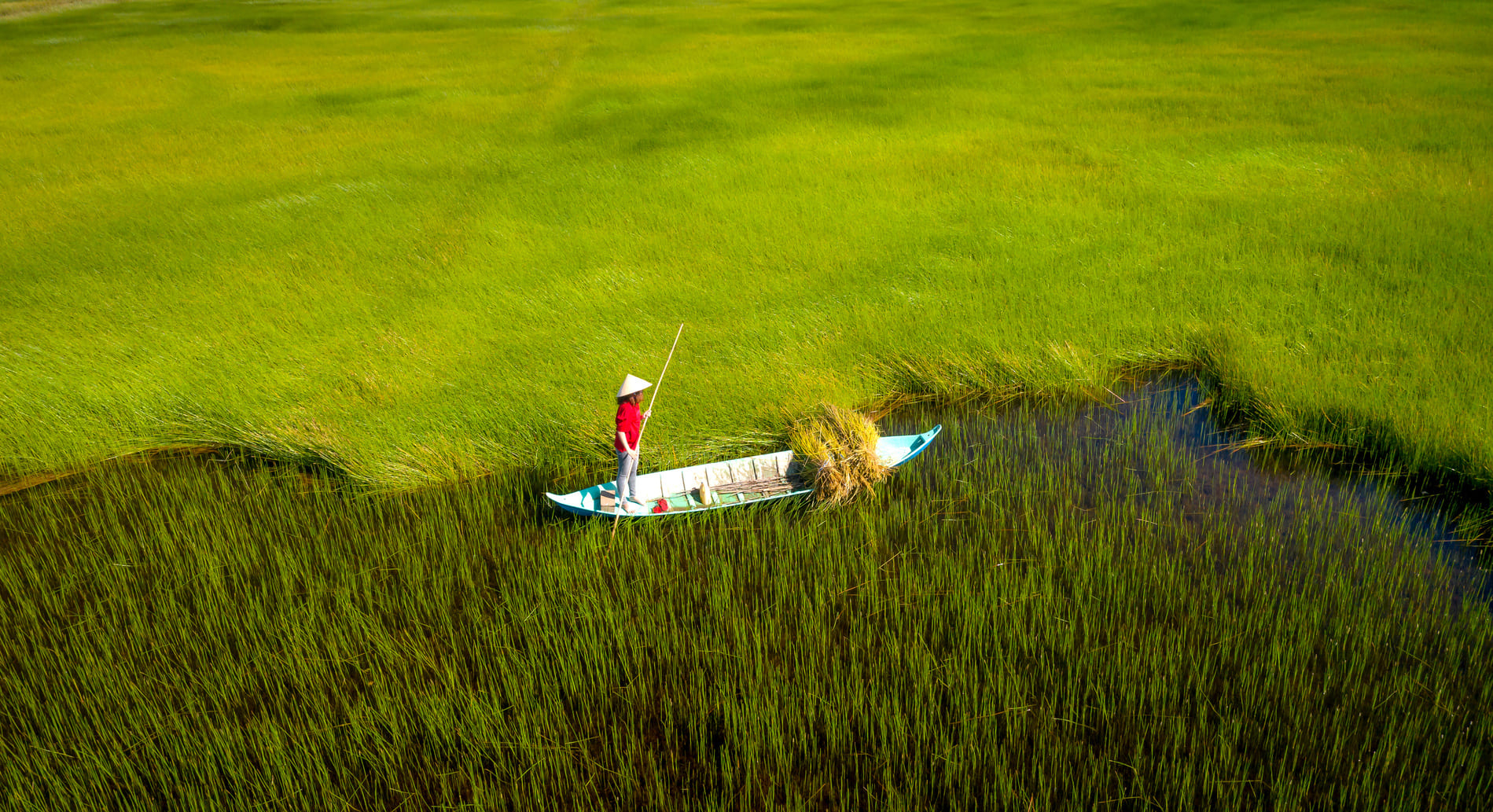 mekong-vietnam