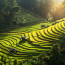 mu-cang-chai-vietnam