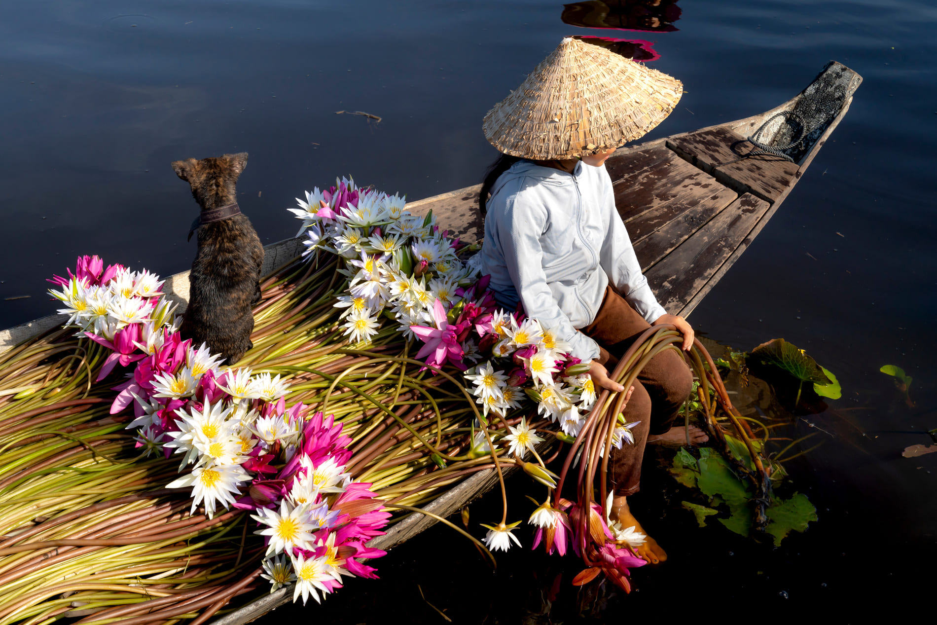 Tout savoir sur le Vietnam